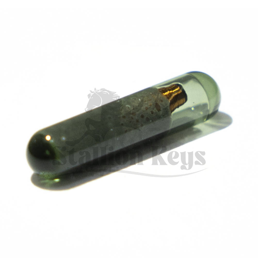 Megamos 48 VW CAN OEM Chip for Volkswagen / OEM NEW